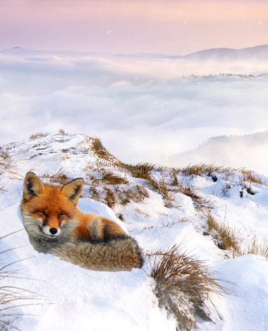 Paysage d'hiver de vente-privee.com