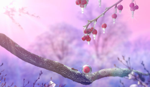 Fruits glaçés de vente-privee