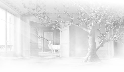 L'univers raffiné de vente-privee Lounge