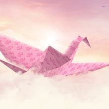 La tête dans les nuage avec vente-privee Rosedeal